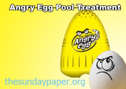 The Angry Egg Pool Helper Review